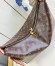 Louis Vuitton Slouchy MM Bag in Monogram Canvas M12098