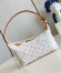 Louis Vuitton Hills Pochette in Monogram Polyamide M12433
