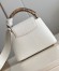 Louis Vuitton Capucines Mini Bag with Ayers Leather Handle M56399