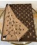 Louis Vuitton Neo Monogram Blanket M70439