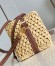 Louis Vuitton Noe Purse Bag in Natural Raffia M83521