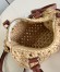 Louis Vuitton Nano Speedy Bag in Natural Raffia M83525