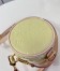 Louis Vuitton Astor Bag in Monogram Vernis Leather M24099