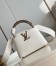 Louis Vuitton Capucines Mini Bag with Ayers Leather Handle M56399