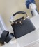 Louis Vuitton Capucines Mini Bag with Metallic Monogram Flowers M56669