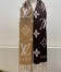 Louis Vuitton Reykjavik Gradient Scarf M73675
