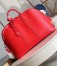 Louis Vuitton Alma Travel GM Bag in Epi Leather M23717