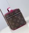 Louis Vuitton Mini Nice Case In Monogram Macassar Canvas M46767