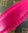 Louis Vuitton Mini Nice Case In Monogram Macassar Canvas M46767