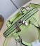 Louis Vuitton Alma Nano Bag In Light Green Epi Leather M82403