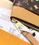 Louis Vuitton Pochette Voyage Souple in Monogram Craggy Canvas M83568