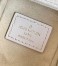 Louis Vuitton Side Trunk PM Bag in Chalk Leather M23915