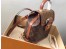 Louis Vuitton Dauphine Backpack PM In Monogram Reverse Canvas M45142