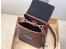 Louis Vuitton Dauphine Backpack PM In Monogram Reverse Canvas M45142