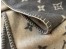 Louis Vuitton Neo Monogram Blanket M70439