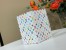 Louis Vuitton LV x TM Passport Cover in Monogram Multicolored Canvas M14178