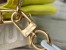 Louis Vuitton Coussin PM Bag In Monogram Lambskin M20843