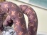 Louis Vuitton Speedy Bandouliere 25 Bag In Silver Recycled Nylon M20973