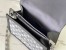 Louis Vuitton Dauphine MM Bag In Grey Monogram Denim M21458