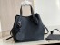 Louis Vuitton Blossom PM Bag In Black Mahina Leather M21848