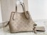 Louis Vuitton Blossom PM Bag In Galet Mahina Leather M21849