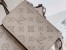 Louis Vuitton Blossom PM Bag In Galet Mahina Leather M21849