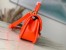 Louis Vuitton Hide and Seek Bag in Epi Leather M22723