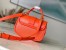 Louis Vuitton Hide and Seek Bag in Epi Leather M22723