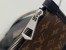 Louis Vuitton CarryAll MM Bag in Lambskin M25143
