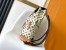Louis Vuitton Christopher MM Backpack in Monogram Craggy Canvas M25240