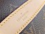 Louis Vuitton Bumbag Bag In Monogram Canvas M43644