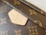 Louis Vuitton Bumbag Bag In Monogram Canvas M43644