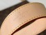 Louis Vuitton ALL-IN GM Bag In Monogram Canvas M43893