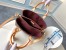 Louis Vuitton Soufflot BB Bag In Monogram Canvas M44815