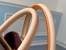 Louis Vuitton Soufflot MM Bag In Monogram Canvas M44816