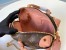 Louis Vuitton Petite Malle Souple Bag In Monogram Canvas M45531