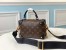 Louis Vuitton Petite Malle Souple Bag In Monogram Canvas M45571