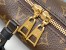 Louis Vuitton Petite Malle Souple Bag In Monogram Canvas M45571