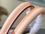 Louis Vuitton Speedy Bandouliere 20 Bag In Monogram Canvas M45957
