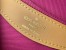 Louis Vuitton Diane Satchel In Monogram Canvas M46049
