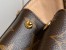 Louis Vuitton Cluny Mini Bag In Monogram Canvas M46055