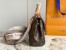 Louis Vuitton Cluny Mini Bag In Monogram Canvas M46055