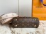 Louis Vuitton Cluny Mini Bag In Monogram Canvas M46055