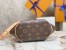 Louis Vuitton Ellipse PM Bag In Monogram Canvas M46196