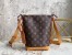 Louis Vuitton Hobo Cruiser PM Bag In Blurry Monogram Canvas M46241