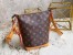 Louis Vuitton Hobo Cruiser PM Bag In Blurry Monogram Canvas M46241