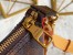 Louis Vuitton Hobo Cruiser PM Bag In Blurry Monogram Canvas M46241