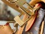 Louis Vuitton Diane Bag In Monogram Canvas with Shearling M46317