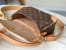 Louis Vuitton Diane Bag In Monogram Canvas with Shearling M46317
