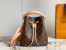 Louis Vuitton NeoNoe BB Bag In Monogram Canvas M46581
